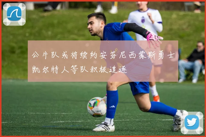 公牛队或将续约安芬尼西蒙斯勇士凯尔特人等队积极追逐