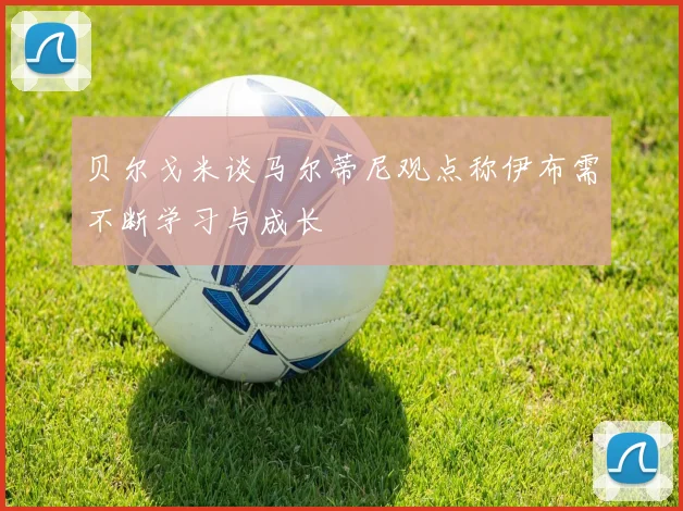 贝尔戈米谈马尔蒂尼观点称伊布需不断学习与成长